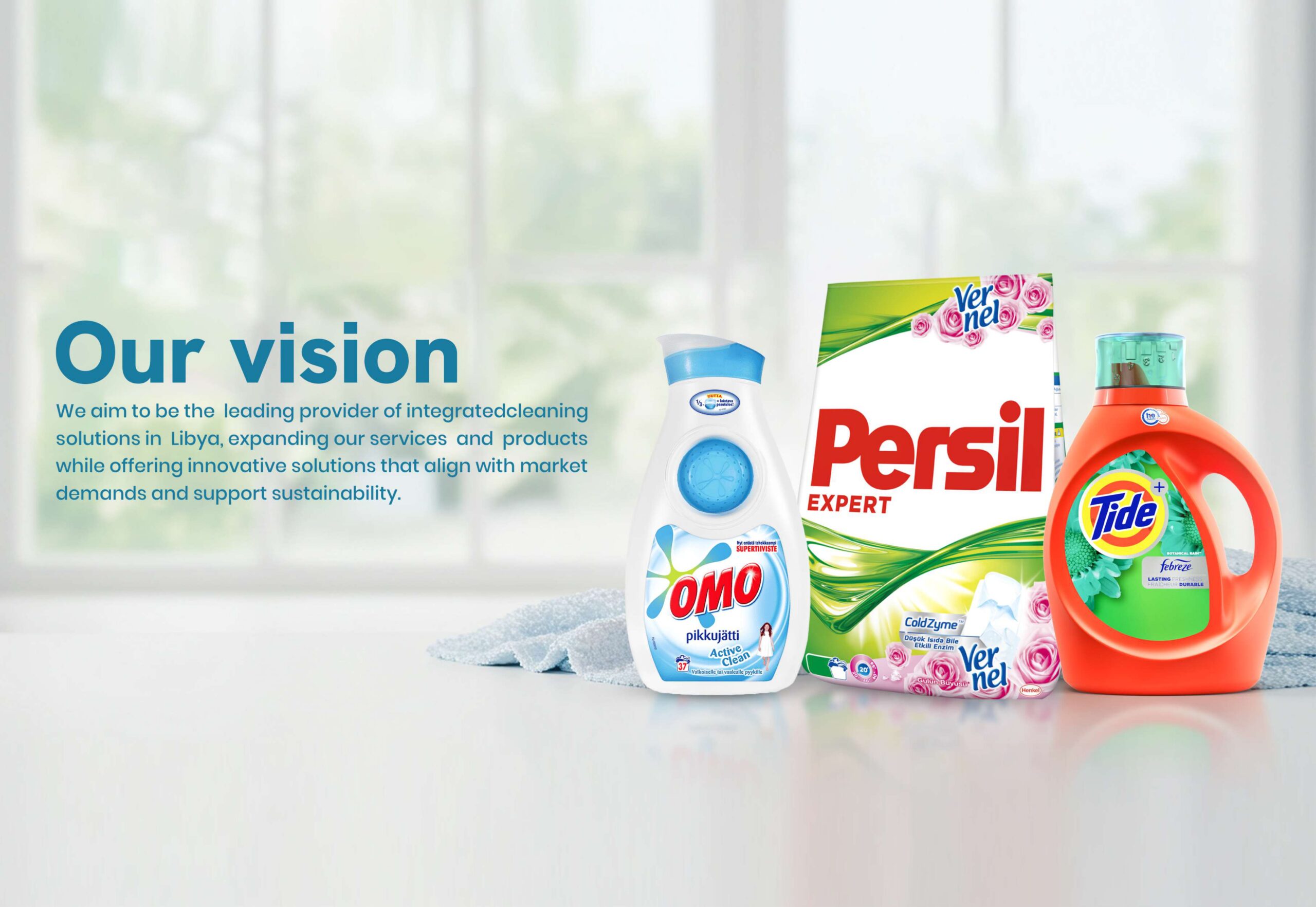 Balsam Company Profile2_page-0002