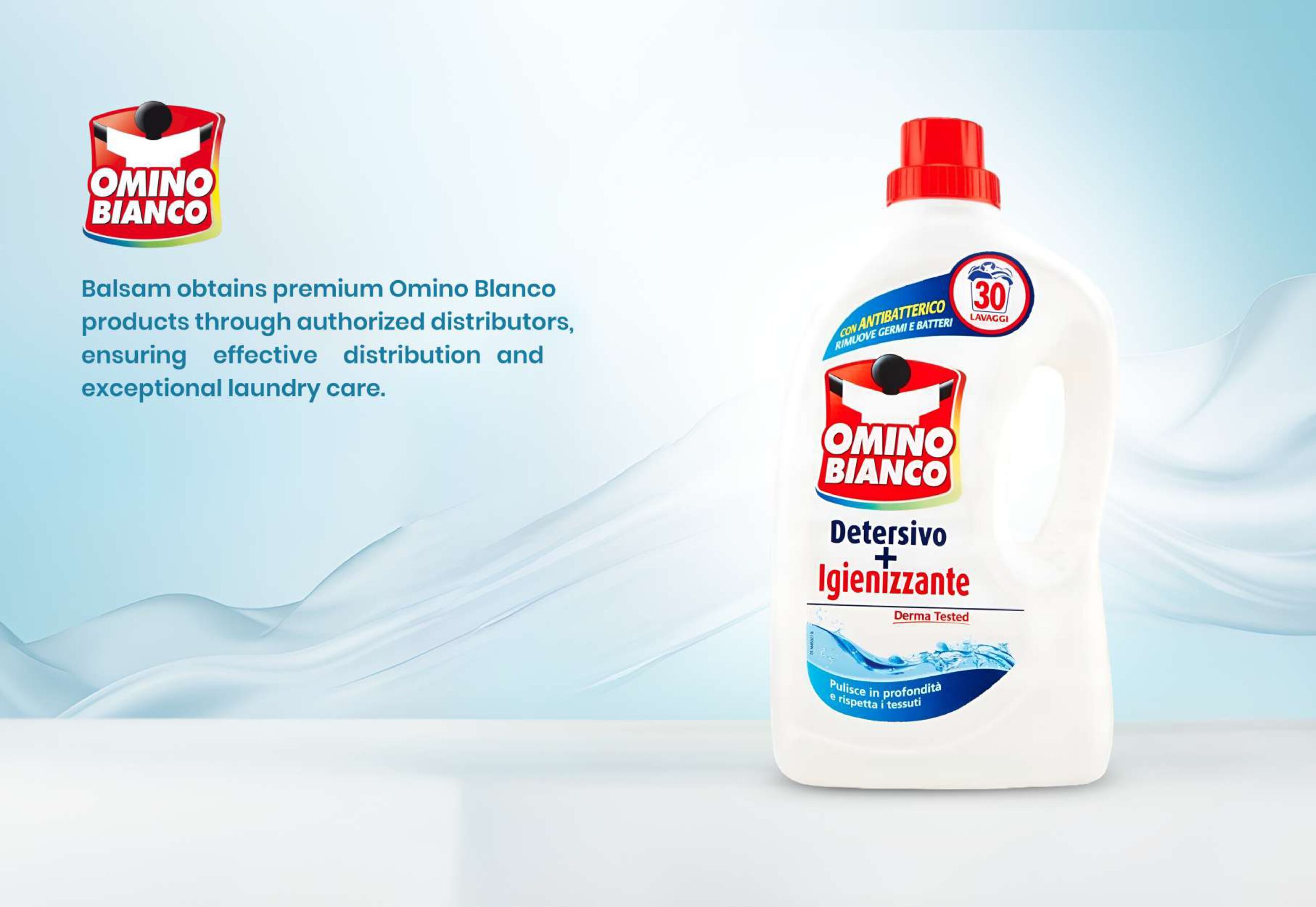 Balsam Company Profile2_page-0008